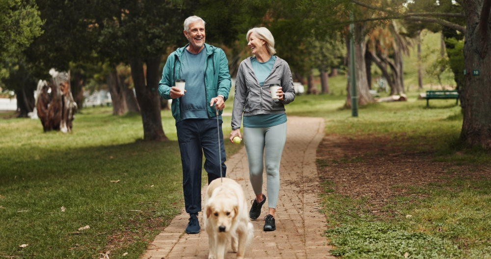 An older couple carrying coffees walk their dog along a path in the park.